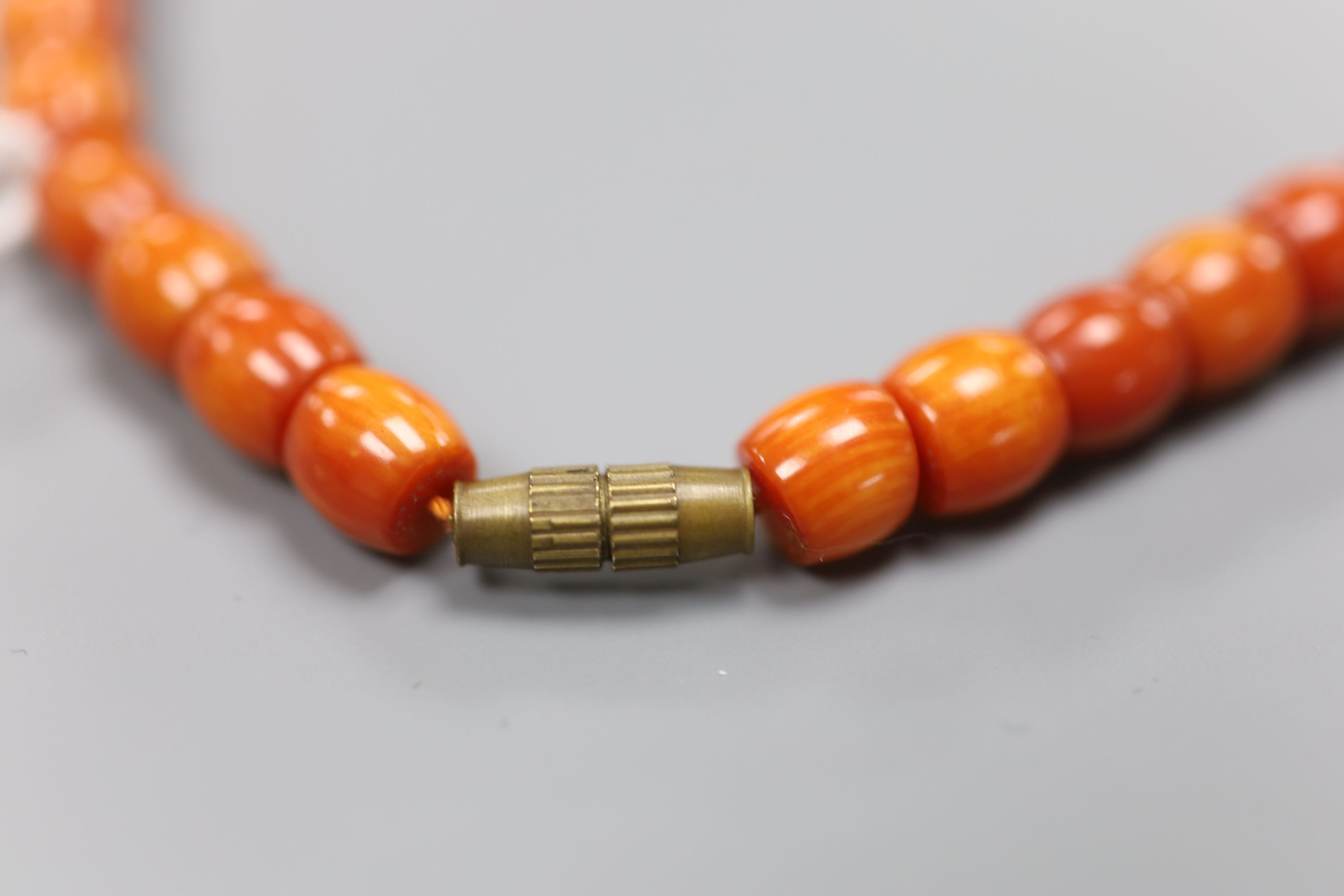 A single strand coral bead necklace, with gilt metal barrel clasp, 50cm, gross 52 grams.